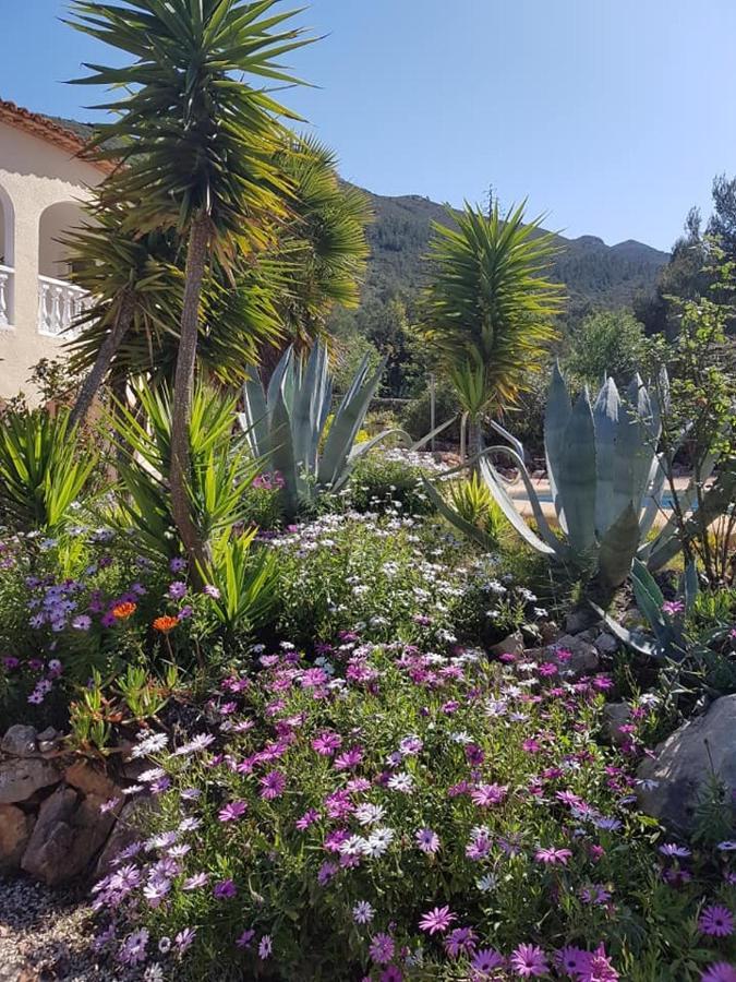 Sueno Grande Hotel Lliber Buitenkant foto